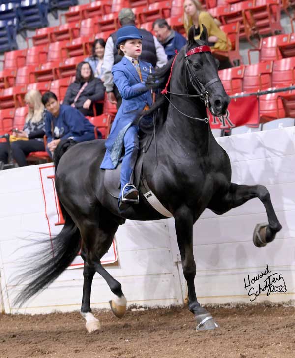 Show team at Krussell Stables in Richmond Illinois